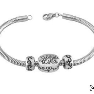 Pandora charm bracelet